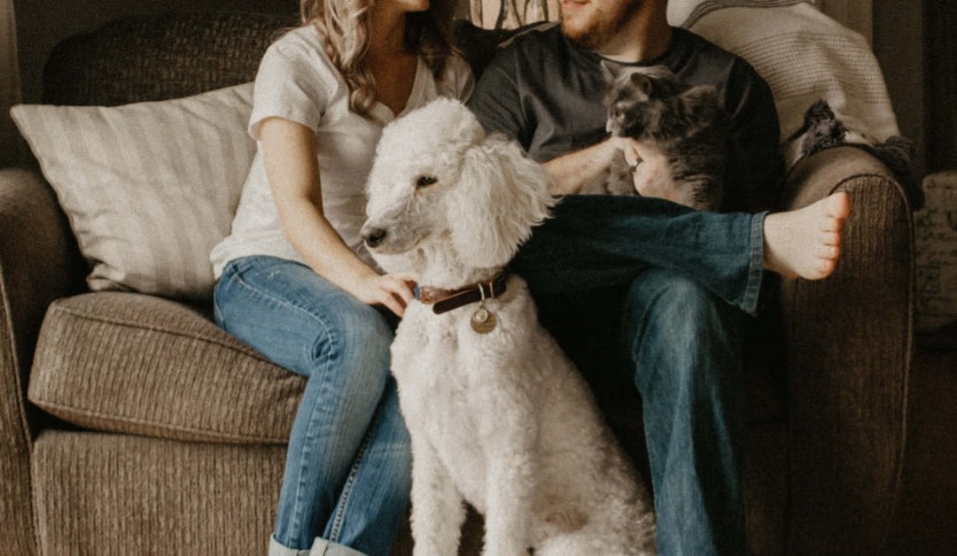 Couple sitting on a couch with a dog.